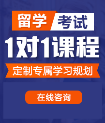 小穴真骚啊啊啊啊视频留学考试一对一精品课